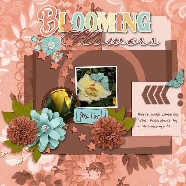 Blooming Roses