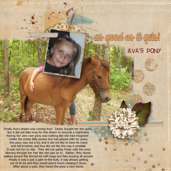 Ava's Pony
