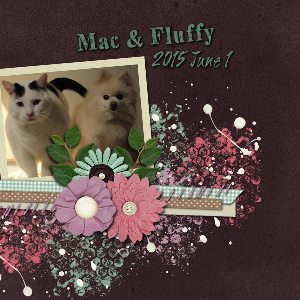 Mac and Fluffy