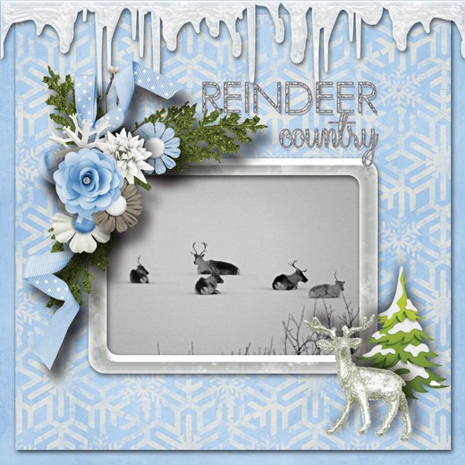 Reindeer_country