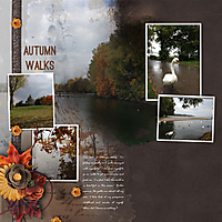 2015W41_Autumn_Walks.jpg