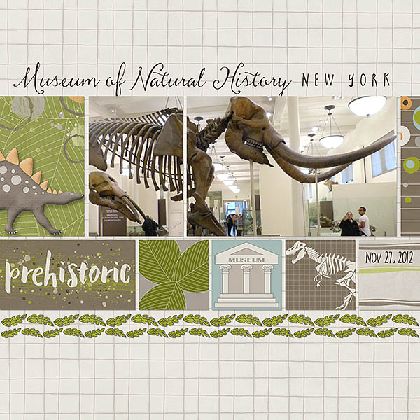 Museum Natural History