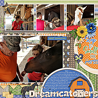 Dreamcatchers_horse_farm.jpg