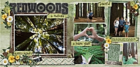 Redwoods1.jpg