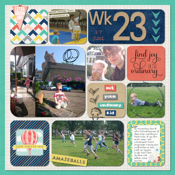 Wk 23A