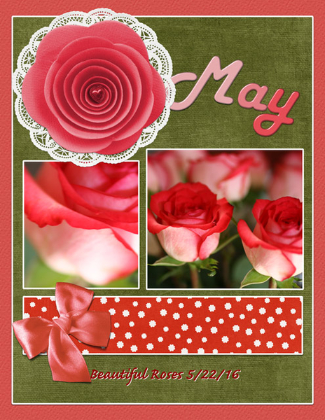 May - Beautiful Roses