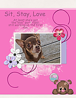 Sit_-Stay_-Love.jpg