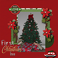 firstchristmas_tree.jpg
