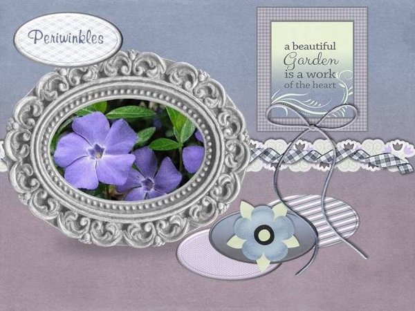 Periwinkles - May 2016 Color Challenge