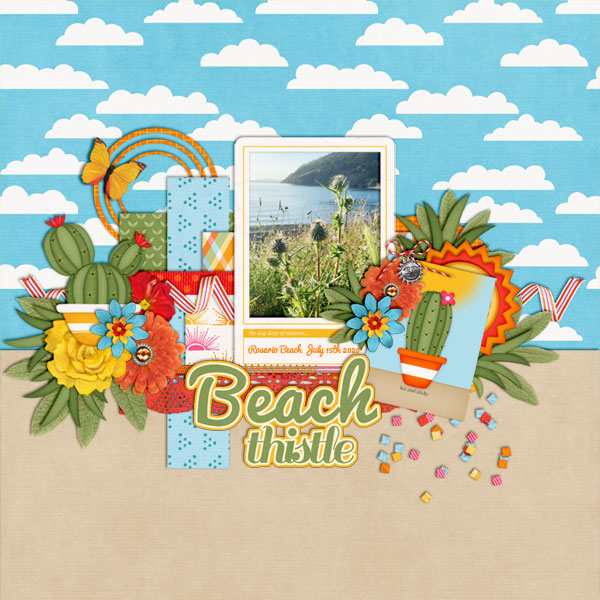 Beach Thistle