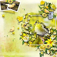 bird-gossip-bee-creations-n.jpg