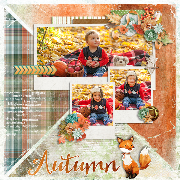 Autumn Adventure