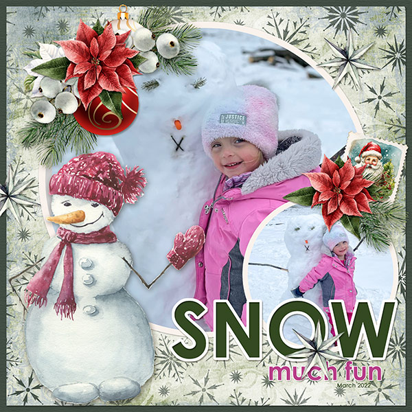 Snow Much Fun