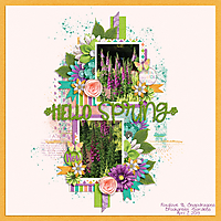 Hello-Spring9.jpg