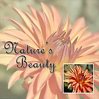 Nature_s-Beauty-Web.jpg