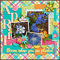 April-Flowers1.jpg