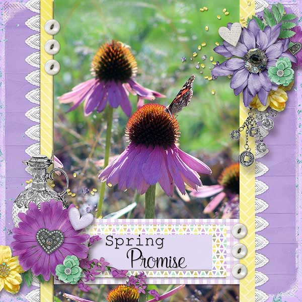 Spring Promise