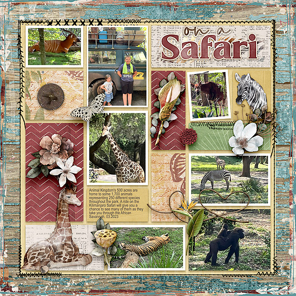 Safari (Disney)