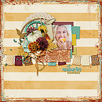 AimeeH-TMD-AutumnMarket-01.jpg