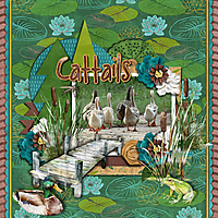 DLPatt_Cattails_web.jpg