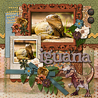 DLPatt_Iguana_web.jpg