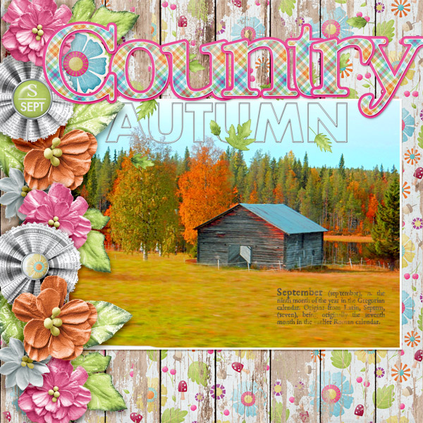 Country-autumn1