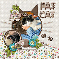 Fat-Cat2.jpg