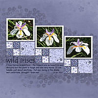 Wild-irises.jpg