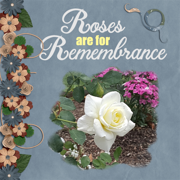 Roses for Remembrance
