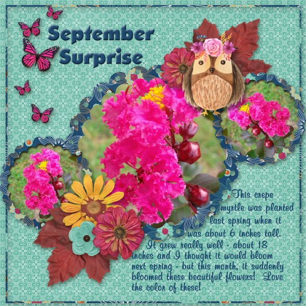 September Surprise