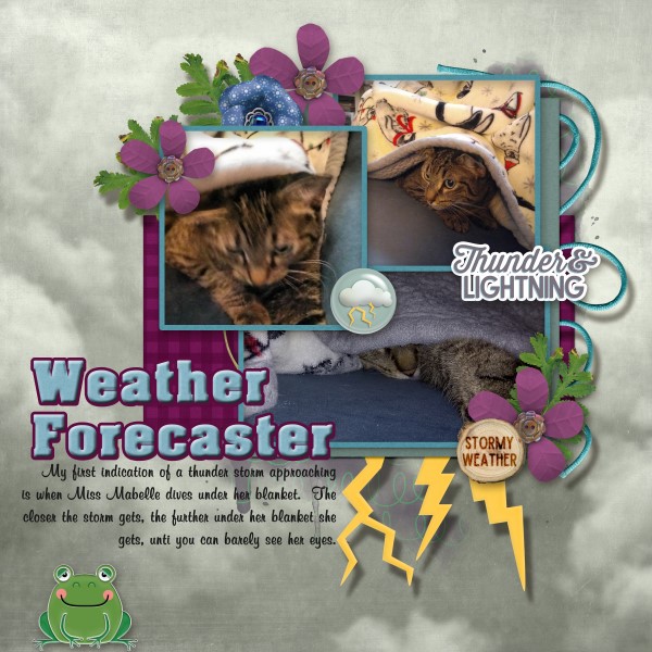 Weather Forecaster